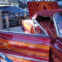 SEMA-2011-113