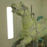 carousel24