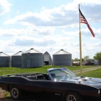 69PontiacGTO38