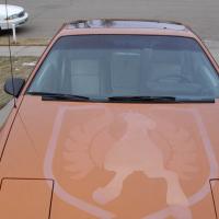 Fiero29
